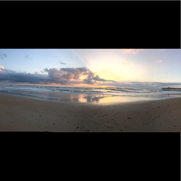 Meet your Posher, Lucy - Picture 1 of 1